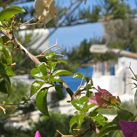Majestic House In The Heart Of Mykonos Appartement
